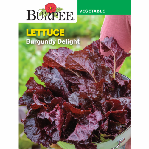Burpee Burgundy Delight Lettuce Perspective: front