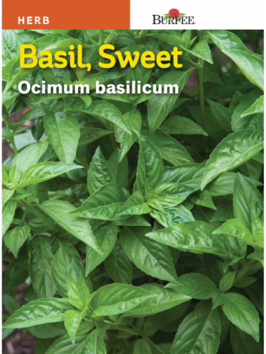 Burpee® Sweet Basil Seeds Perspective: front