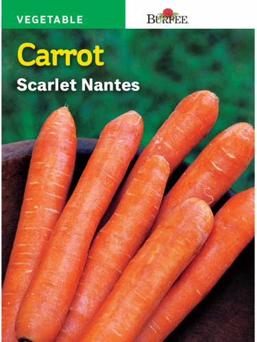 Burpee® Scarlet Nantes Carrot Seeds Perspective: front