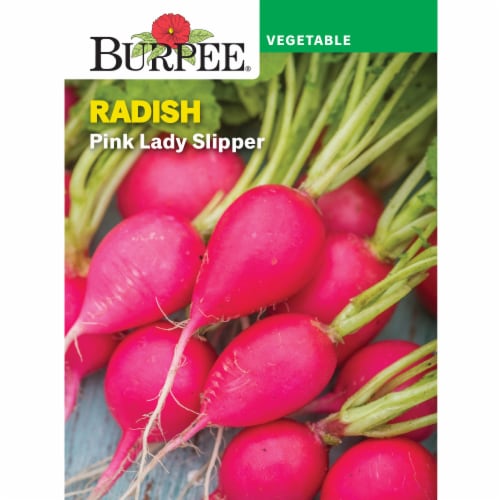 Burpee® Pink Lady Slipper Perspective: front