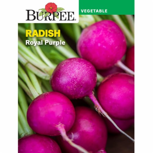 Burpee Royal Purple Radish Seeds Perspective: front