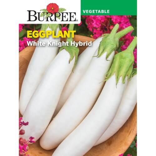 Burpee® White Knight Hybrid Eggplant Perspective: front