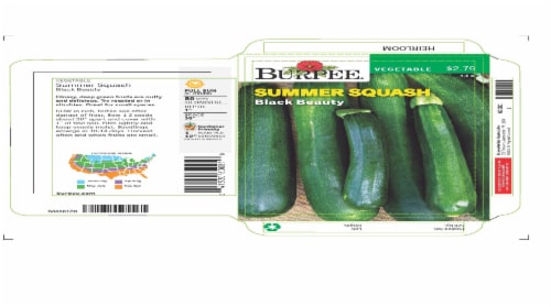 Burpee® Black Beauty Summer Squash Seeds Perspective: front
