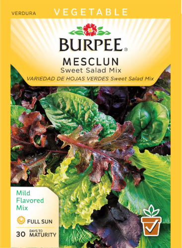 Burpee® Mesclun Sweet Salad Mix Perspective: front