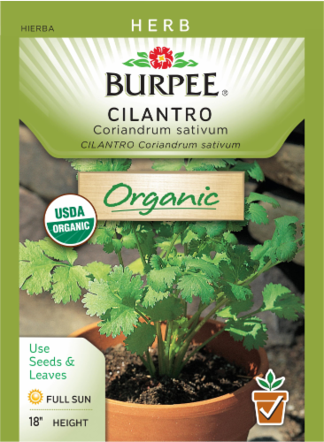 Burpee® Organic Cilantro Seeds Perspective: front