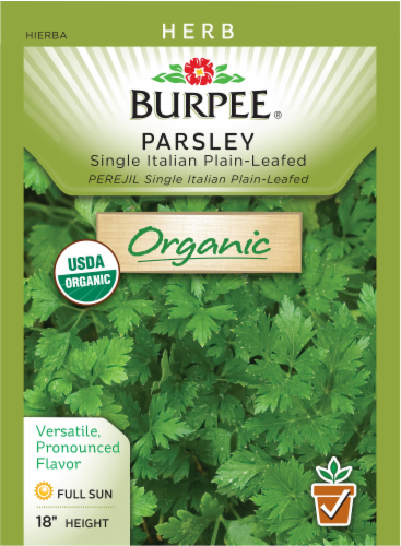 Burpee Organic Herb Parsley Single Italian Plain-Leafed Perspective: front