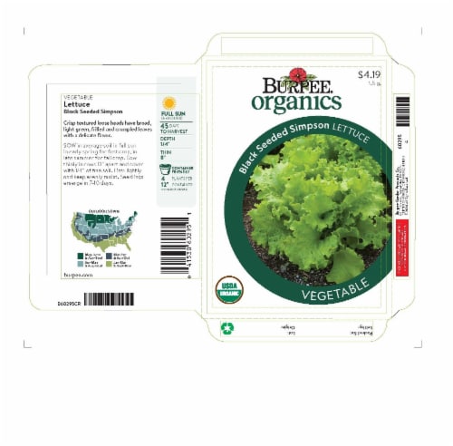 Burpee® Black Seeded Simpson Lettuce Seeds Perspective: front