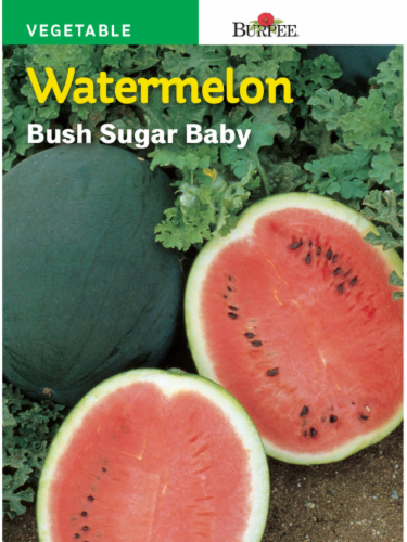 Burpee Bush Sugar Baby Watermelon Seeds - Green Perspective: front