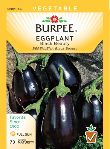 Burpee Black Beauty Eggplant Seeds Perspective: front