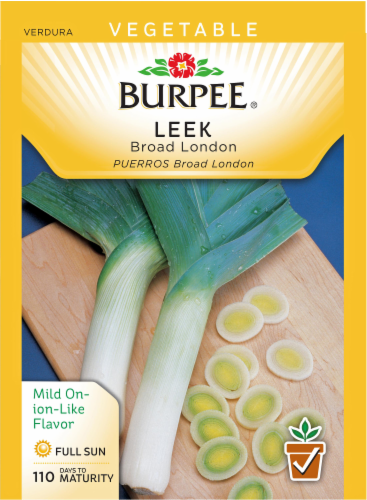 Burpee Broad London Leek Seeds Perspective: front