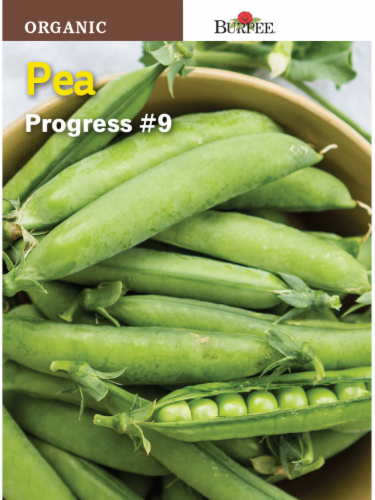 Burpee Progress 9 Organic Pea Seeds - Green Perspective: front