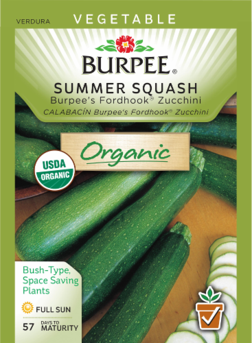Burpee® Fordhook Zucchini Summer Squash Seeds Perspective: front
