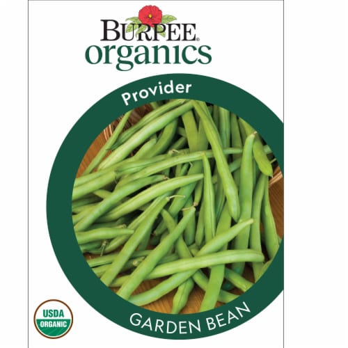 Burpee® Organics Garden Bean Provider Seeds Perspective: front
