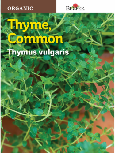 Burpee Organic Common Thyme Seeds - Green Perspective: front