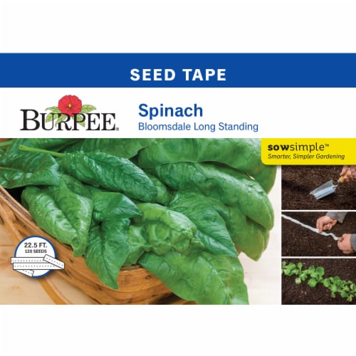 Burpee® Bloomsdale Long Standing Spinach Seed Tape, 22.5 ft Kroger
