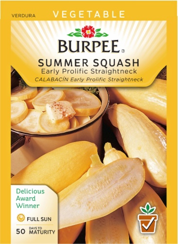 Burpee® Early Summer Prolific Straightneck Squash Seeds - Yellow Perspective: front