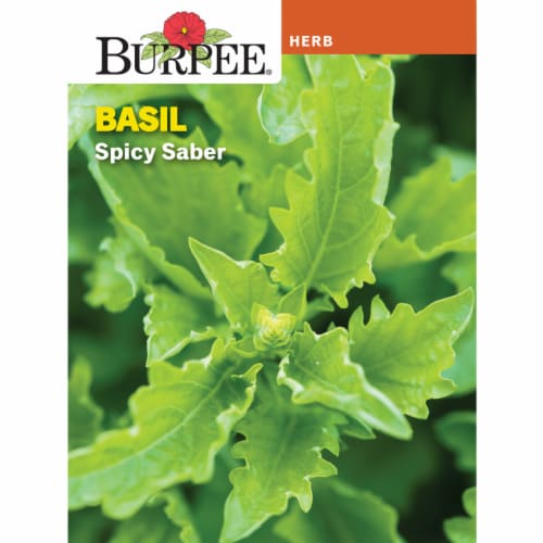 Burpee Spicy Saber Basil Seed Pack Perspective: front