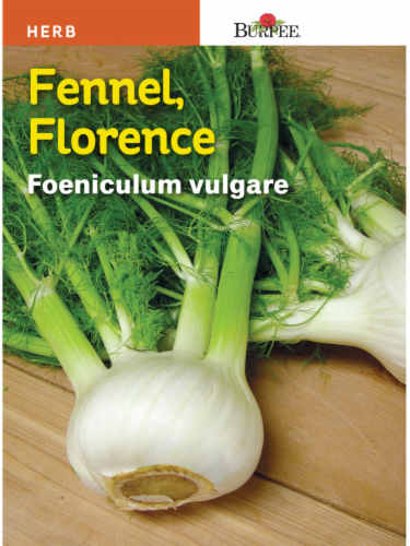 Burpee® Florence Fennel Seeds Perspective: front