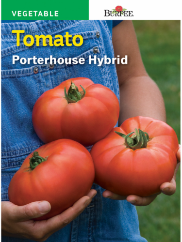 Burpee Porterhouse Hybrid Tomato Seeds - Red Perspective: front