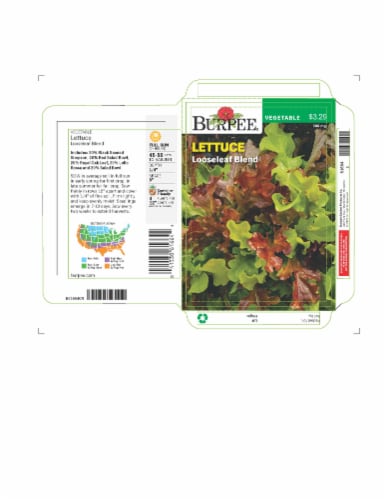 Burpee®  Looseleaf Lettuce Seeds Perspective: front