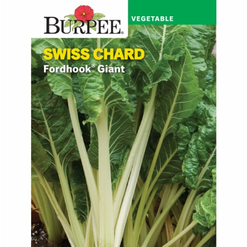 Burpee® Fordhook Giant Swiss Chard Perspective: front