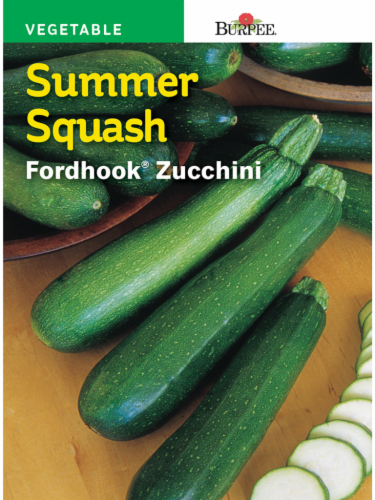 Burpee Fordhook Zucchini Summer Squash Seeds - Green Perspective: front