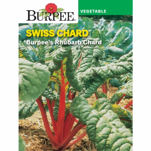Burpee® Rhubarb Swiss Chard Seeds Perspective: front
