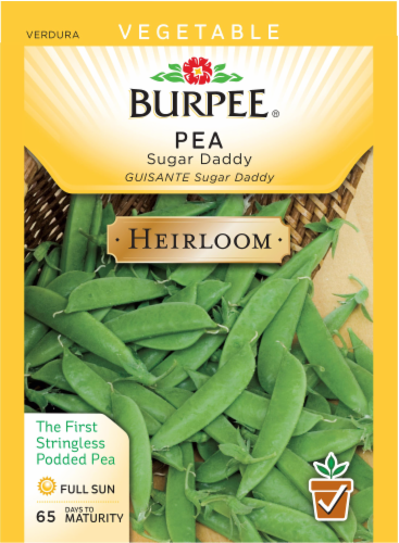 Burpee Sugar Daddy Heirloom Pea Seeds Perspective: front