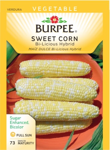 Burpee® BiLicious Hybrid Sweet Corn Seeds Perspective: front