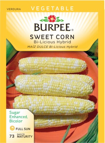 Burpee® BiLicious Hybrid Sweet Corn Seeds Perspective: front