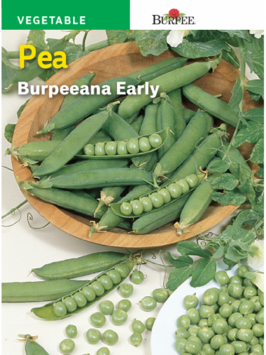 Burpee Burpeanna Early Pea Seeds Perspective: front