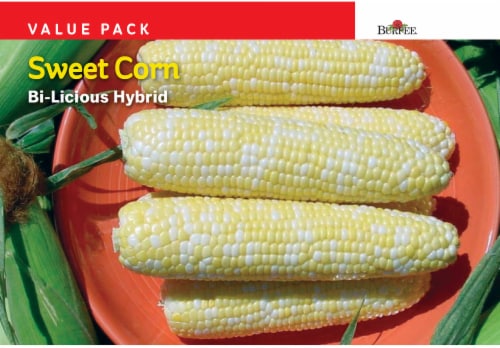 Burpee Bi-Licious Sweet Corn Hybrid Value Pack Seeds - Yellow Perspective: front