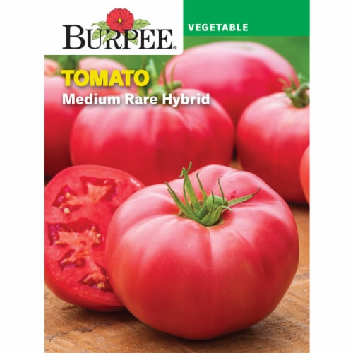Burpee® Medium Rare Hybrid Tomato Perspective: front
