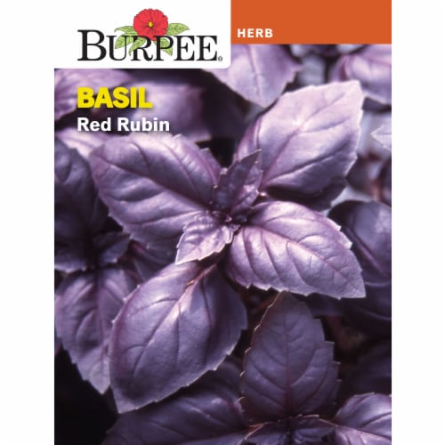 Burpee® Basil Red Rubin Seeds Perspective: front