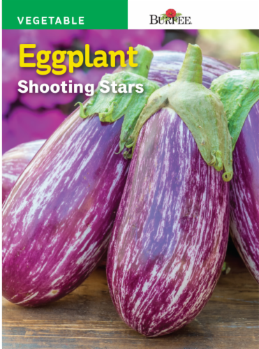 Burpee Shooting Stars Eggplant Seeds - Purple Perspective: front