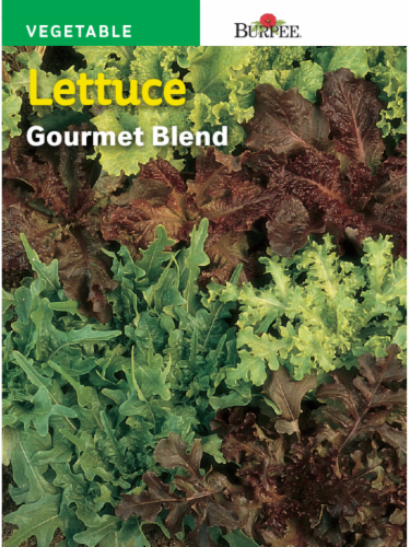 Burpee® Gourmet Blend Lettuce Seeds Perspective: front