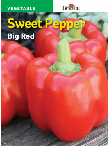 Burpee® Sweet Pepper Big Red Perspective: front