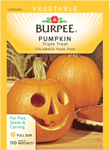 Burpee Triple Treat Pumpkin Seeds Perspective: front
