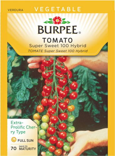 Burpee® Super Sweet 100 Hybrid Tomato Seeds Perspective: front