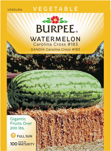 Burpee Carolina 183 Heirloom Watermelon Seeds - Green Perspective: front