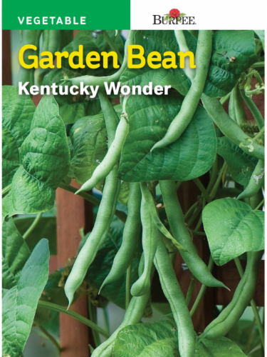 Burpee® Kentucky Wonder Garden Bean Seeds Perspective: front