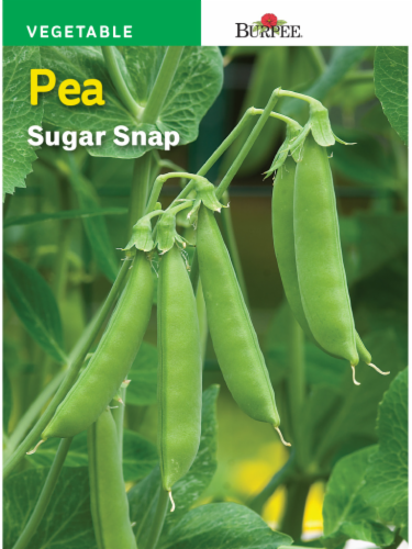 Burpee Sugar Snap Pea Seeds Perspective: front