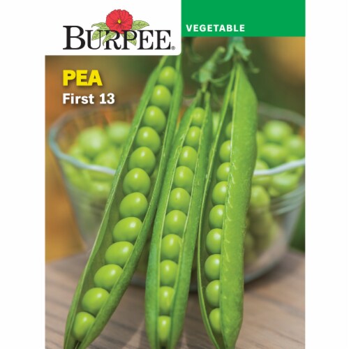 Burpee® First 13 Pea Perspective: front