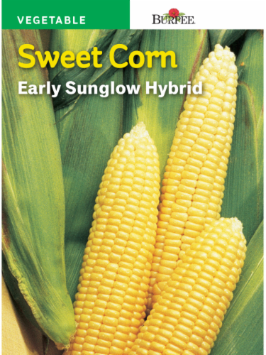 Burpee Early Sunglow Hybrid Corn Seeds - Yellow Perspective: front