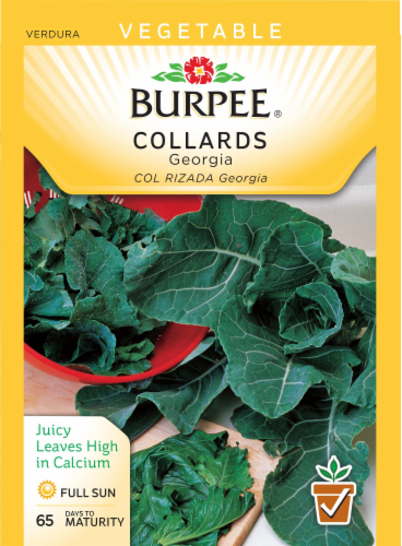 Burpee® Georgia Collard Seeds Perspective: front