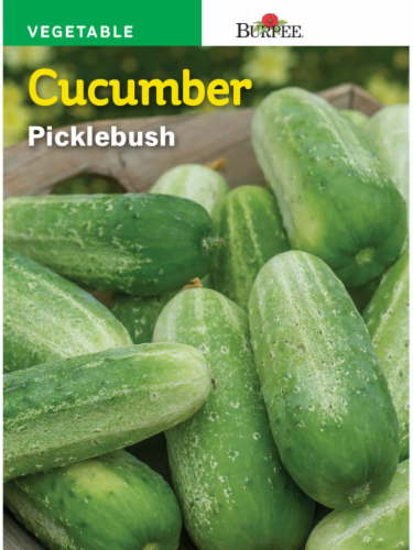Burpee® Picklebush Cucumber Seeds Perspective: front
