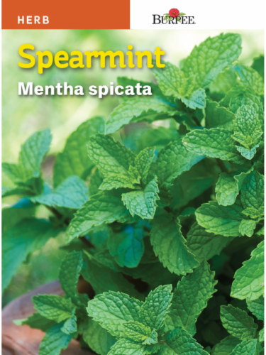 Burpee Spearmint Seeds Perspective: front