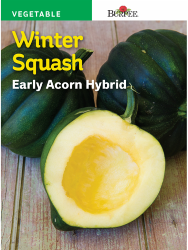 Burpee Early Winter Acorn Hybrid Squash - Green Perspective: front