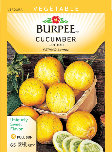 Burpee® Lemon Cucumber Seeds Perspective: front