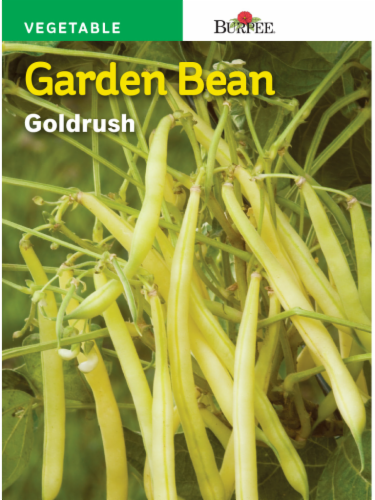 Burpee® Garden Bean Goldrush Perspective: front